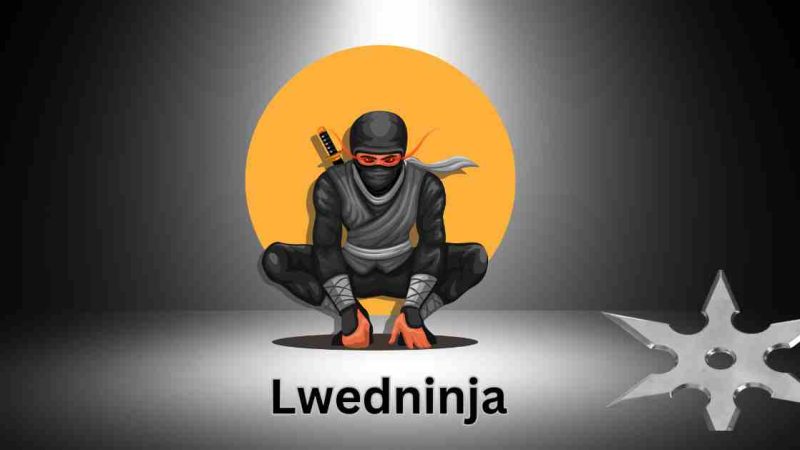 LwedNinja: The Ultimate Guide to Expertise in a Digital World